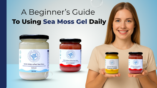 A Beginner’s Guide To Using Sea Moss Gel Daily