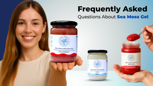 Frequently Asked Questions About Sea Moss Gel