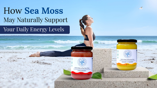 How Sea Moss May Naturally Support Your Daily Energy Levels