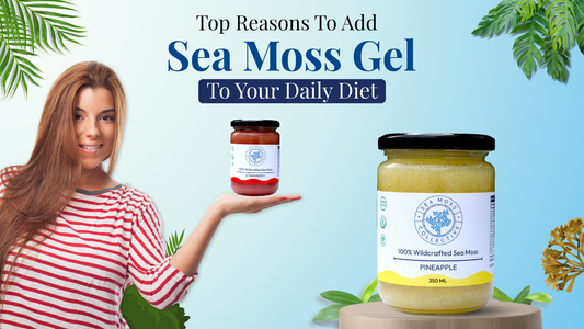 Top Reasons To Add Sea Moss Gel To Your Daily Diet