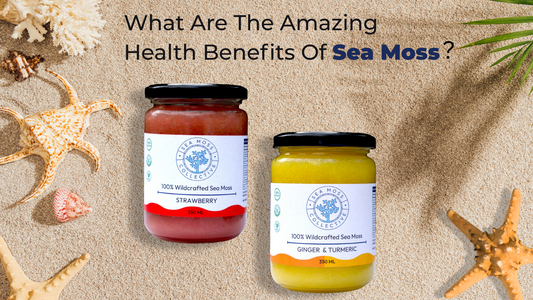What Are The Amazing Health Benefits Of Sea Moss?