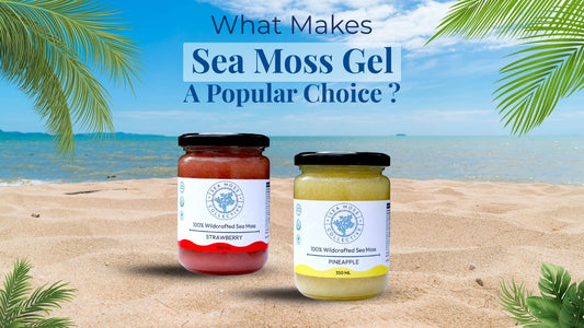 What Makes Sea Moss Gel A Popular Choice?