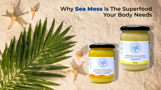 Why Sea Moss Is The Superfood Your Body Needs