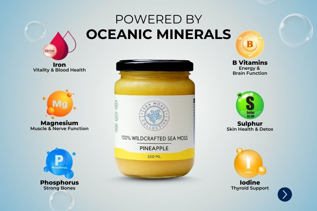 Organic Sea Moss Gel - Pineapple (350ml)
