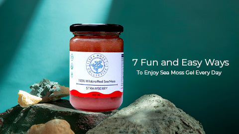 7 Fun and Easy Ways To Enjoy Sea Moss Gel Every Day