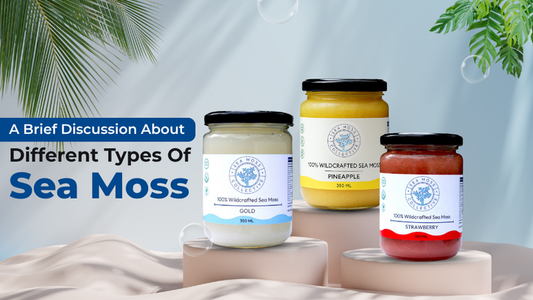 A Brief Discussion About Different Types Of Sea Moss