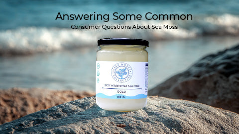 Answering Some Common Consumer Questions About Sea Moss