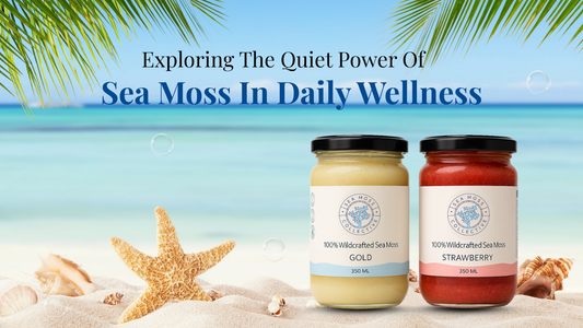 Exploring The Quiet Power Of Sea Moss In Daily Wellness