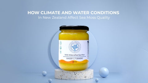 How Climate and Water Conditions In New Zealand Affect Sea Moss Quality