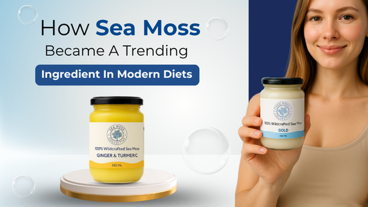 How Sea Moss Became A Trending Ingredient In Modern Diets