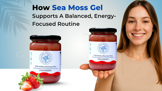 How Sea Moss Gel Supports A Balanced, Energy-Focused Routine