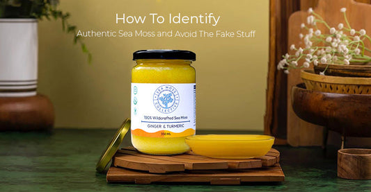 How To Identify Authentic Sea Moss and Avoid The Fake Stuff