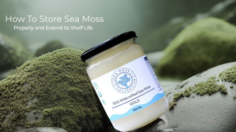 How To Store Sea Moss Properly and Extend Its Shelf Life