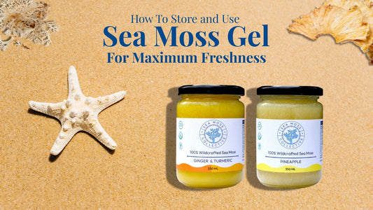 How To Store and Use Sea Moss Gel For Maximum Freshness