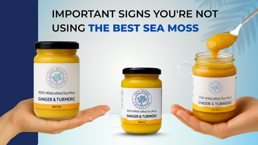 Important Signs You're Not Using The Best Sea Moss