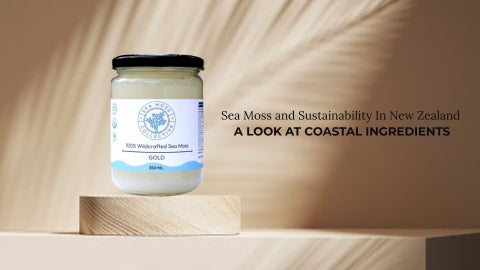 Sea Moss and Sustainability In New Zealand: A Look At Coastal Ingredients