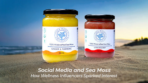 Social Media and Sea Moss: How Wellness Influencers Sparked Interest
