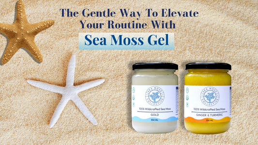 The Gentle Way To Elevate Your Routine With Sea Moss Gel