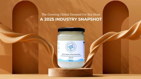 The Growing Global Demand For Sea Moss: A 2025 Industry Snapshot