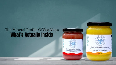 The Mineral Profile Of Sea Moss: What's Actually Inside