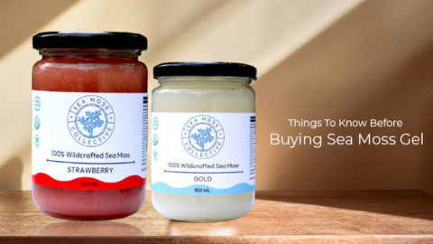 Things To Know Before Buying Sea Moss Gel