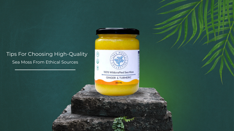 Tips For Choosing High-Quality Sea Moss From Ethical Sources