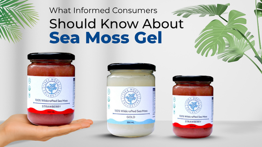 What Informed Consumers Should Know About Sea Moss Gel
