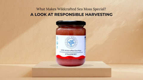 What Makes Wildcrafted Sea Moss Special? A Look At Responsible Harvesting