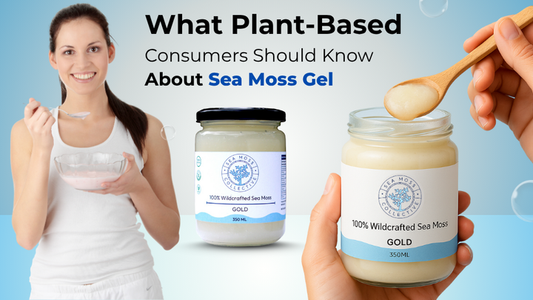 What Plant-Based Consumers Should Know About Sea Moss Gel