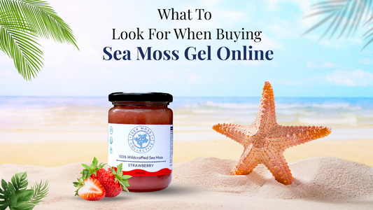 What To Look For When Buying Sea Moss Gel Online