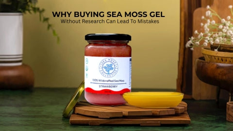 Why Buying Sea Moss Gel Without Research Can Lead To Mistakes