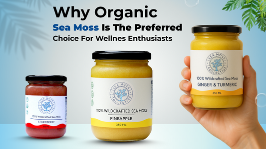 Why Organic Sea Moss Is The Preferred Choice For Wellness Enthusiasts