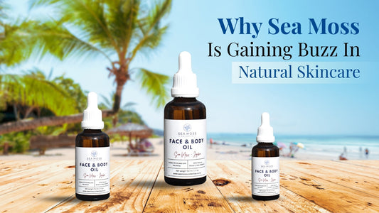 Why Sea Moss Is Gaining Buzz In Natural Skincare