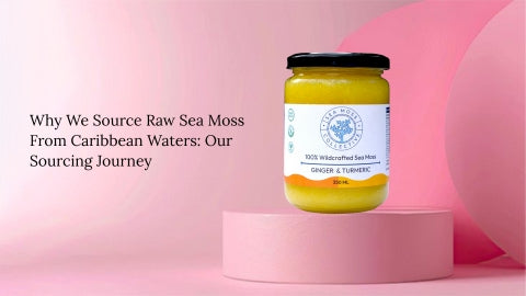 Why We Source Raw Sea Moss From Caribbean Waters: Our Sourcing Journey