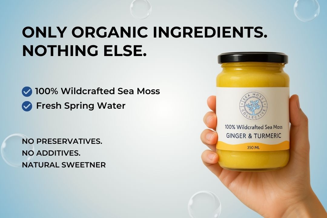 Organic Sea Moss Gel - Ginger & Turmeric (350ml)