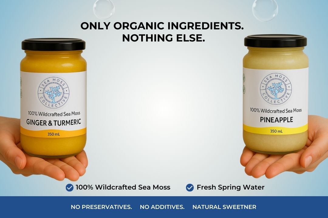 Sea Moss Gel – Ginger & Turmeric + Pineapple (Bundle)