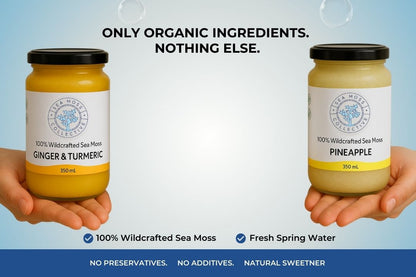 Sea Moss Gel – Ginger & Turmeric + Pineapple (Bundle)