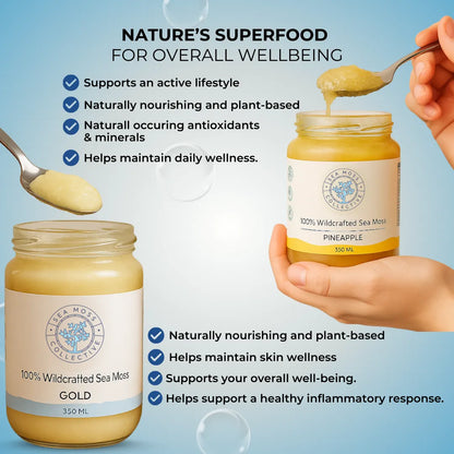 Sea Moss Gel – Gold + Pineapple (Bundle)