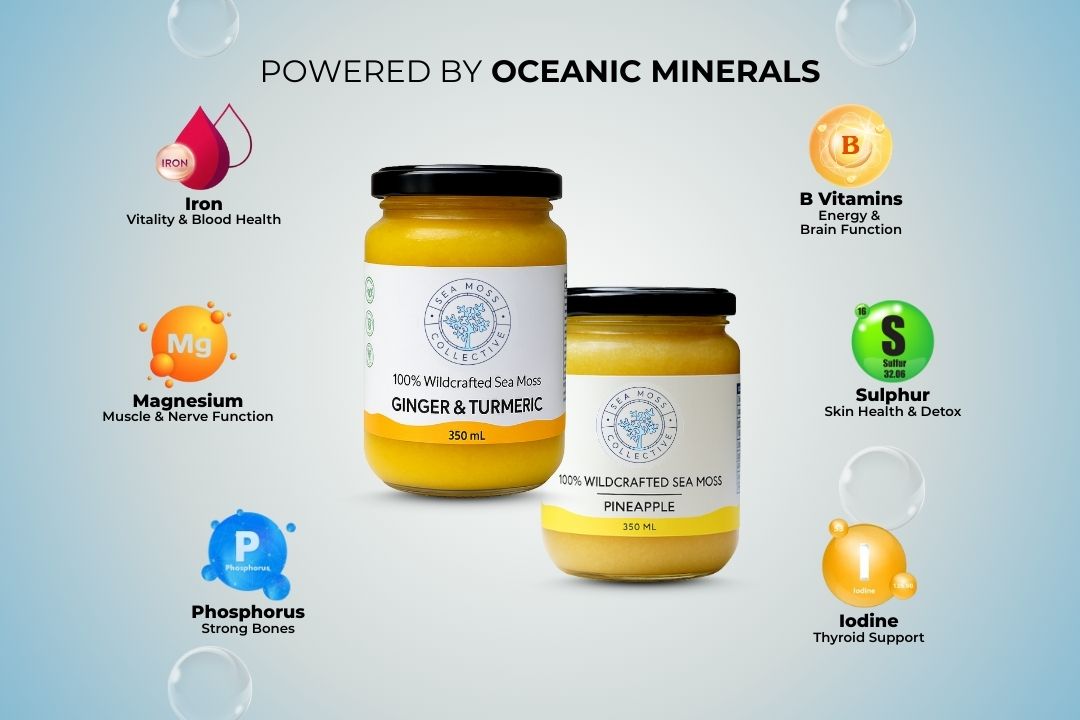 Sea Moss Gel – Ginger & Turmeric + Pineapple (Bundle)
