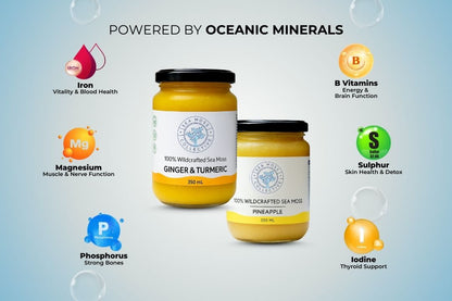 Sea Moss Gel – Ginger & Turmeric + Pineapple (Bundle)