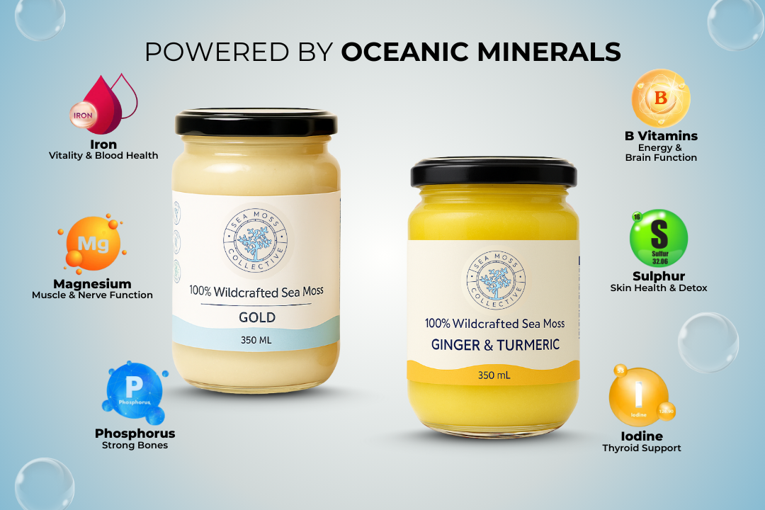 Sea Moss Gel – Gold + Ginger & Turmeric (Bundle)