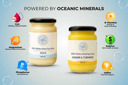 Sea Moss Gel – Gold + Ginger & Turmeric (Bundle)
