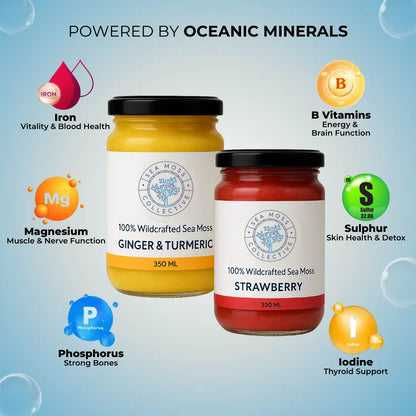 Sea Moss Gel – Ginger & Turmeric + Strawberry (Bundle)