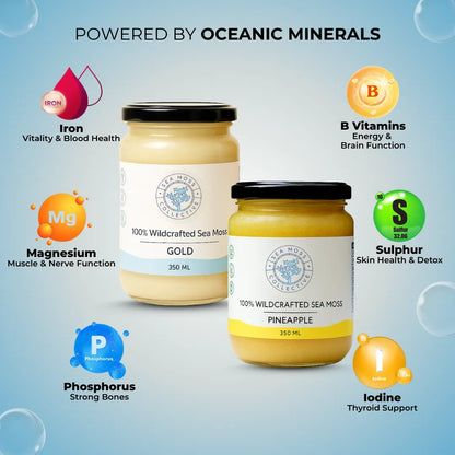 Sea Moss Gel – Gold + Pineapple (Bundle)