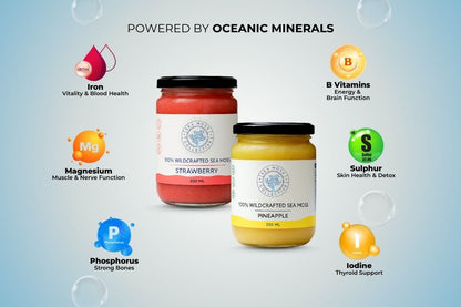 Sea Moss Gel – Pineapple + Strawberry (Bundle)