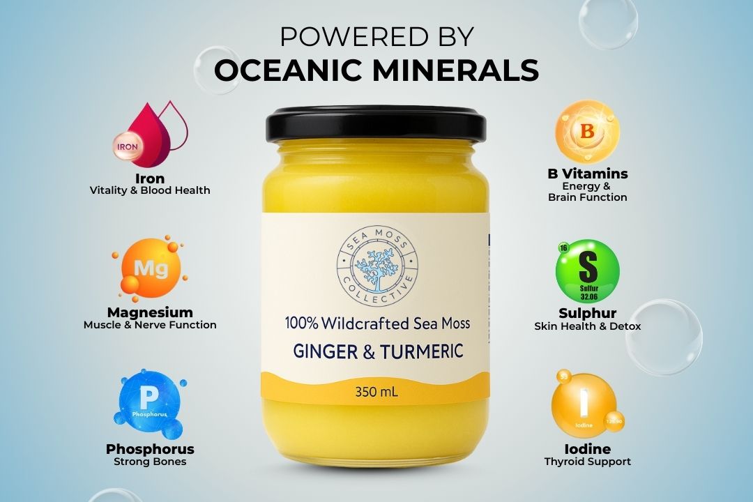 Organic Sea Moss Gel - Ginger & Turmeric (350ml)