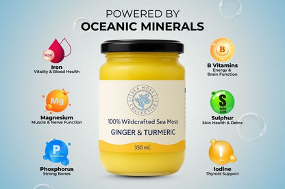 Organic Sea Moss Gel - Ginger & Turmeric (350ml)