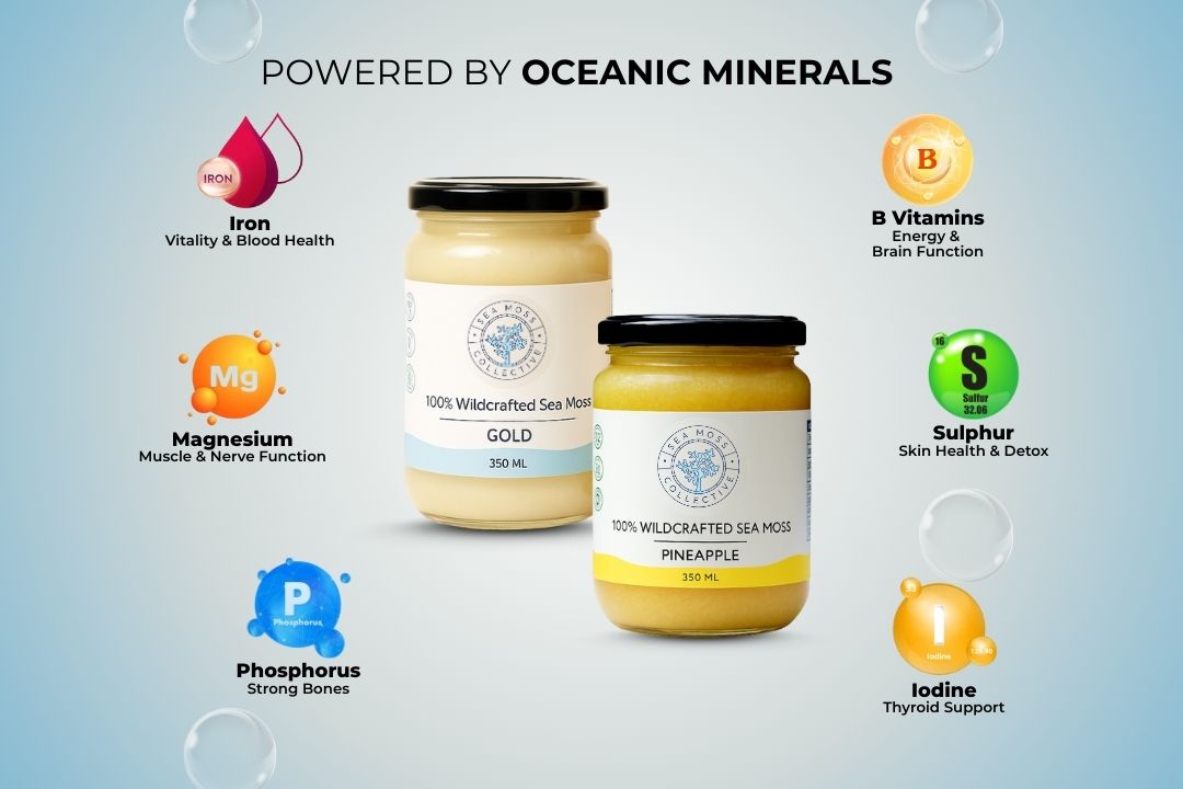 Sea Moss Gel – Gold + Pineapple (Bundle)