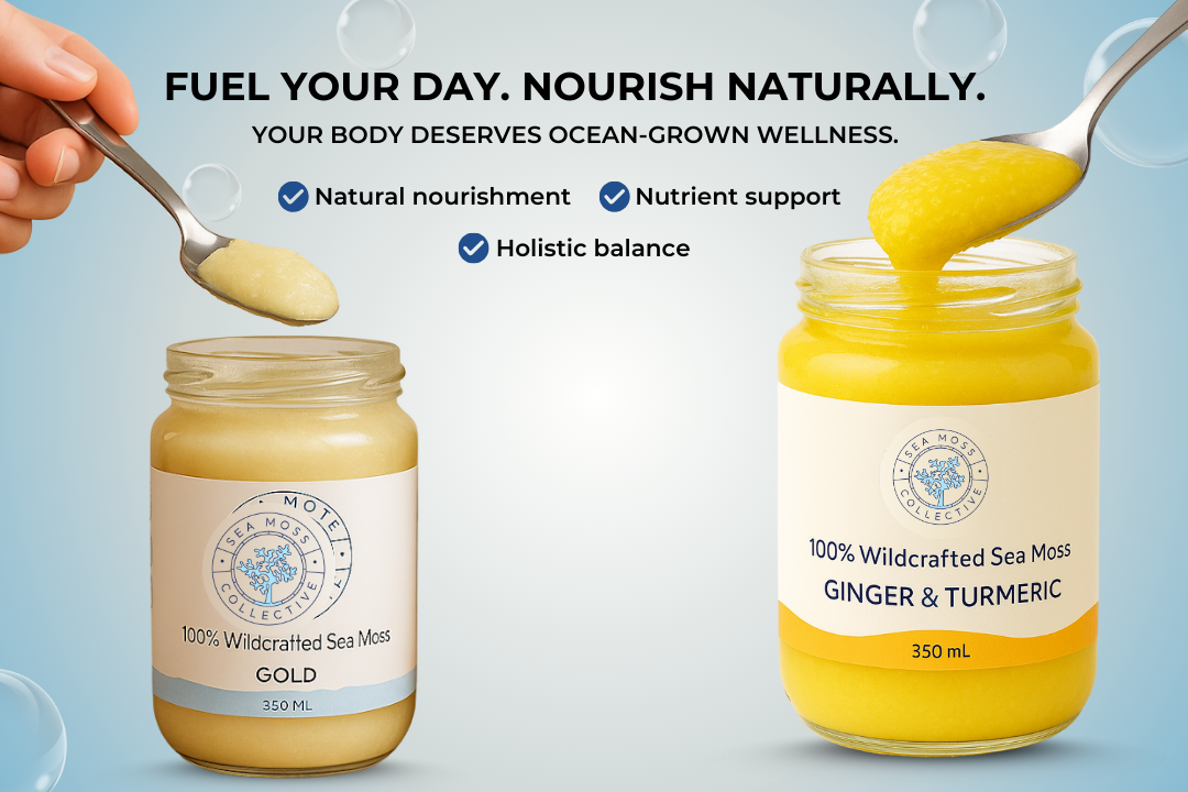 Sea Moss Gel – Gold + Ginger & Turmeric (Bundle)