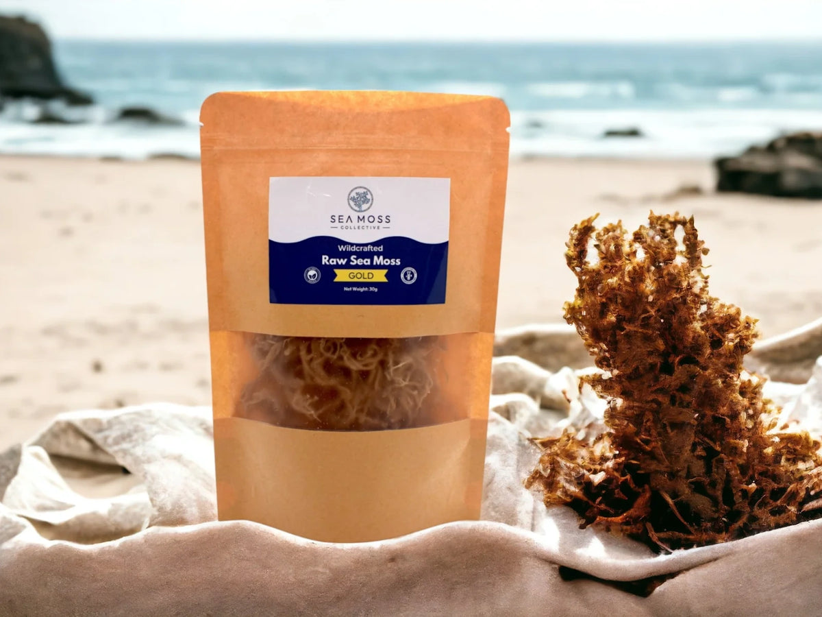Raw Sea Moss Gold pouch with dried sea moss on the beach